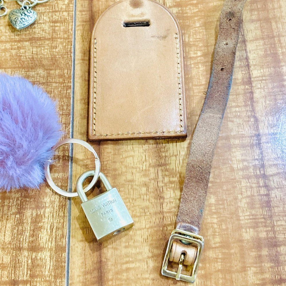 Louis Vuitton Tag and Lock (226) “A Thousand Years” - Picture 13 of 16